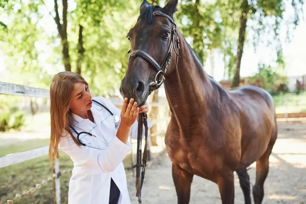 checking-mouth-female-vet-examining-horse-outdoor-2023-11-27-05-09-52-utc.webp