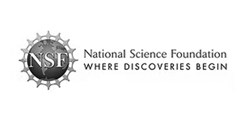 nsf BN.png