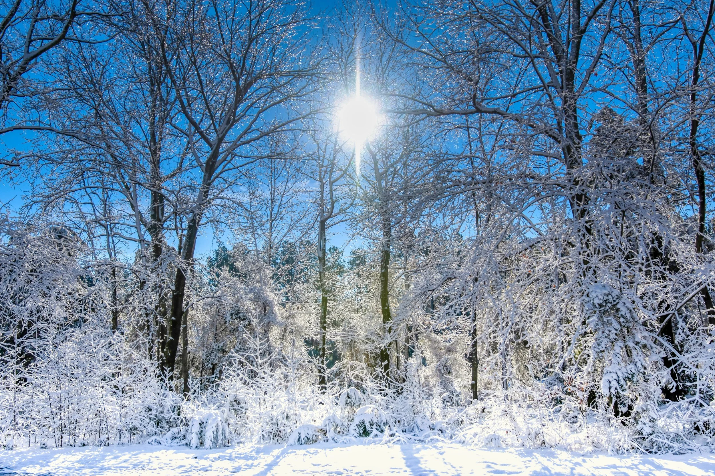 How Virginia Weather Affects Excavation and Land Improvement Projects