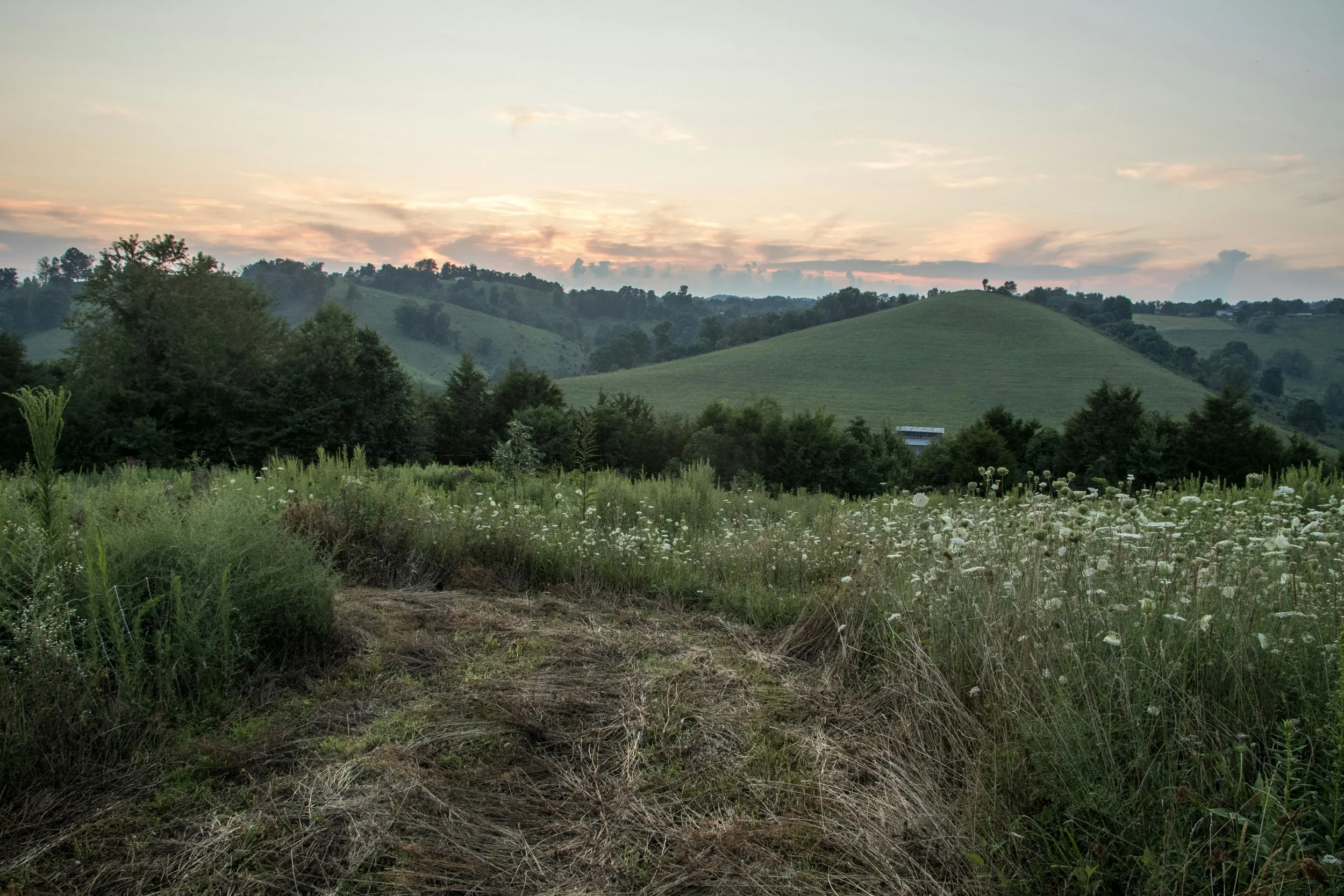 Land Clearing in Fauquier County: Preparing Your Property with Purpose