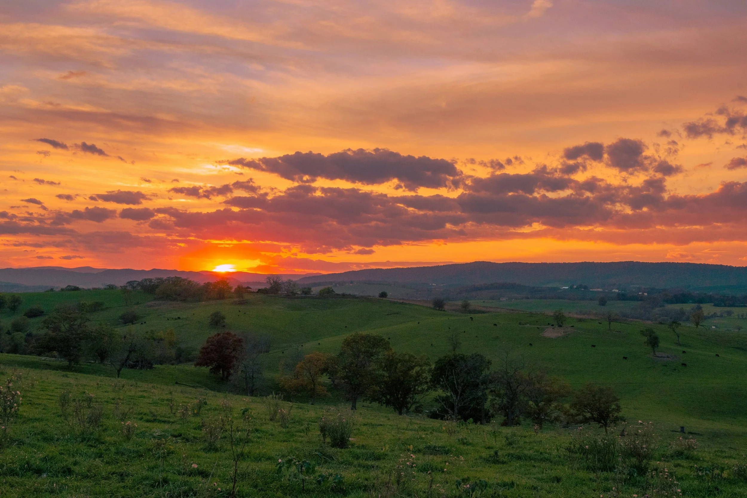 From Acreage to Opportunity: Planning Rural Land Improvements in Virginia