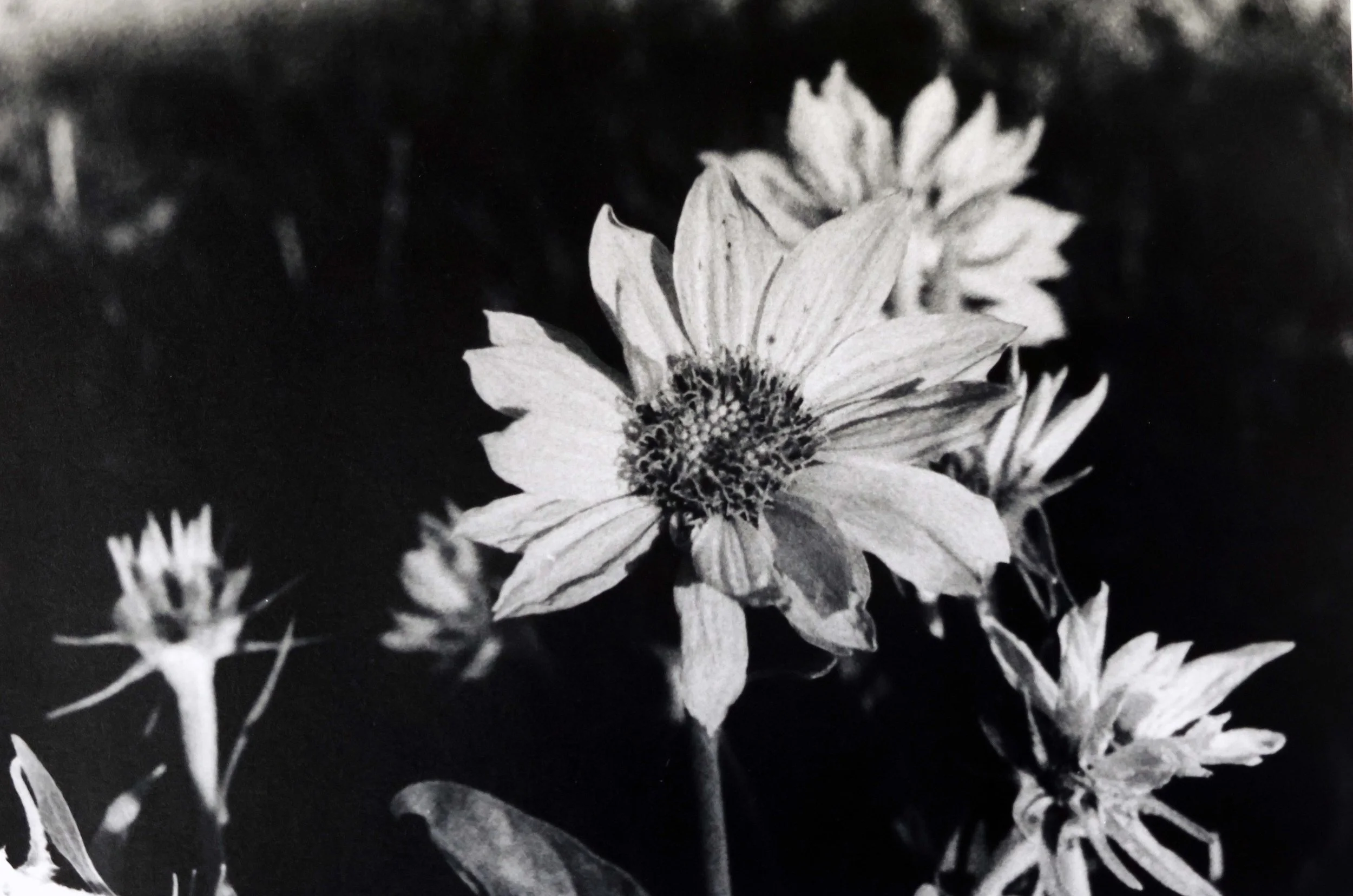 April First Friday: A Handful of Earth