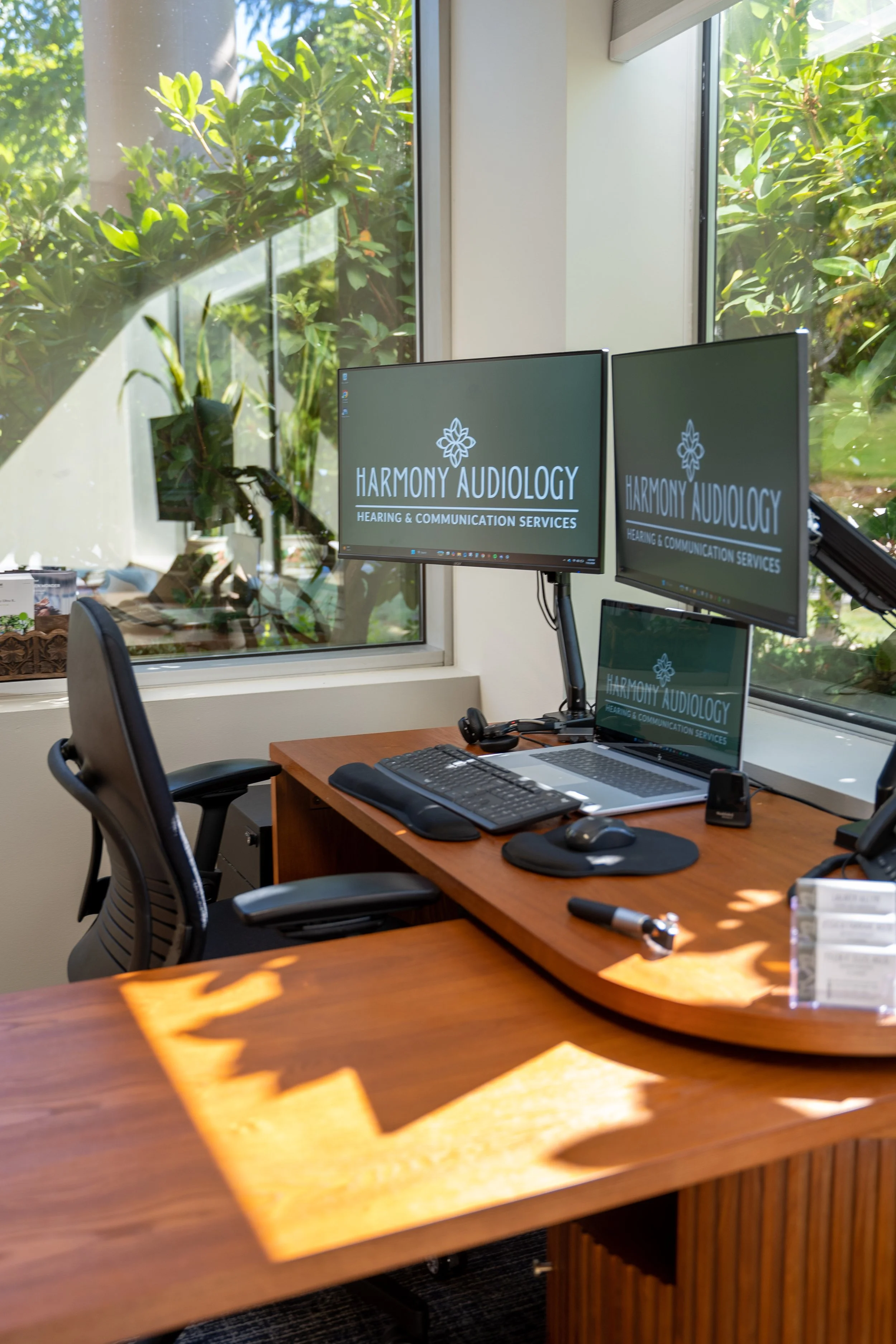 Office with a wooden desk, computer monitor, keyboard, mouse, and chairs, with large window showing green trees outside. The monitor displays 'Harmony Audiology Hearing & Communication Services' logo.
