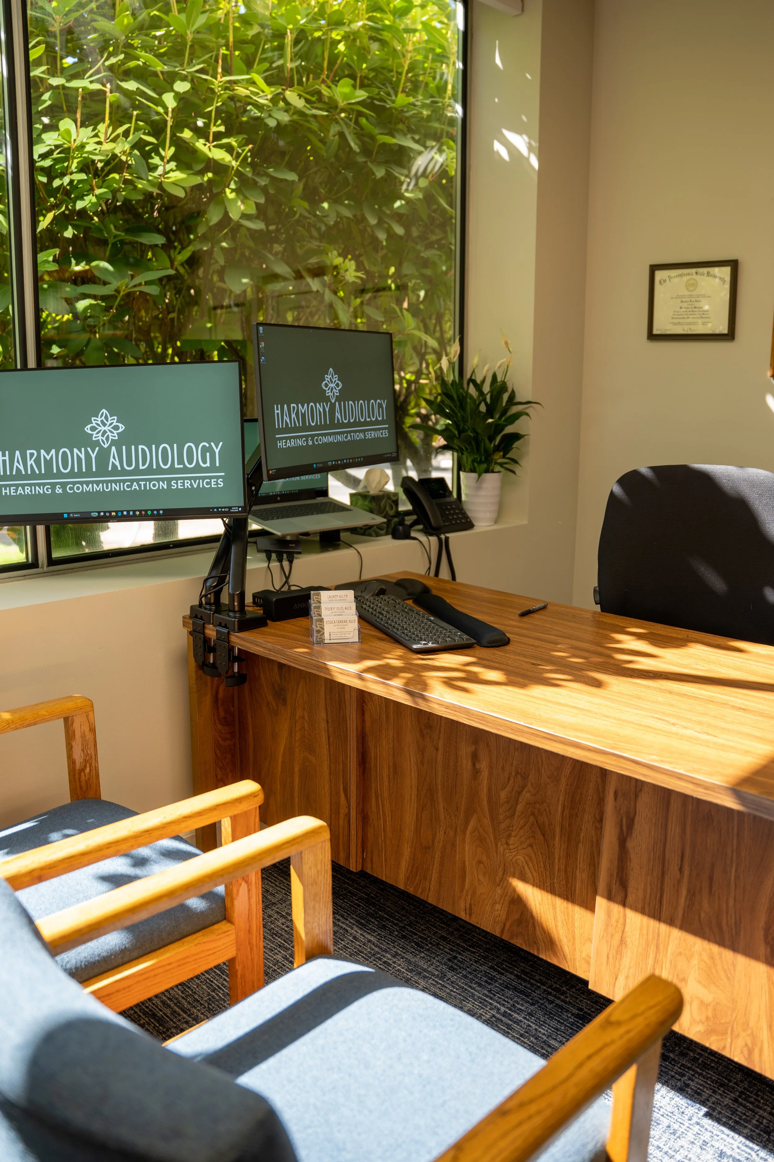 Office area with two computer monitors displaying 'Harmony Audiology Hearing & Communication Services,' a desk with a keyboard, a phone, and a plant by the window. Wooden chairs and a framed certificate on the wall are also visible. Large window with green foliage outside sunlight.