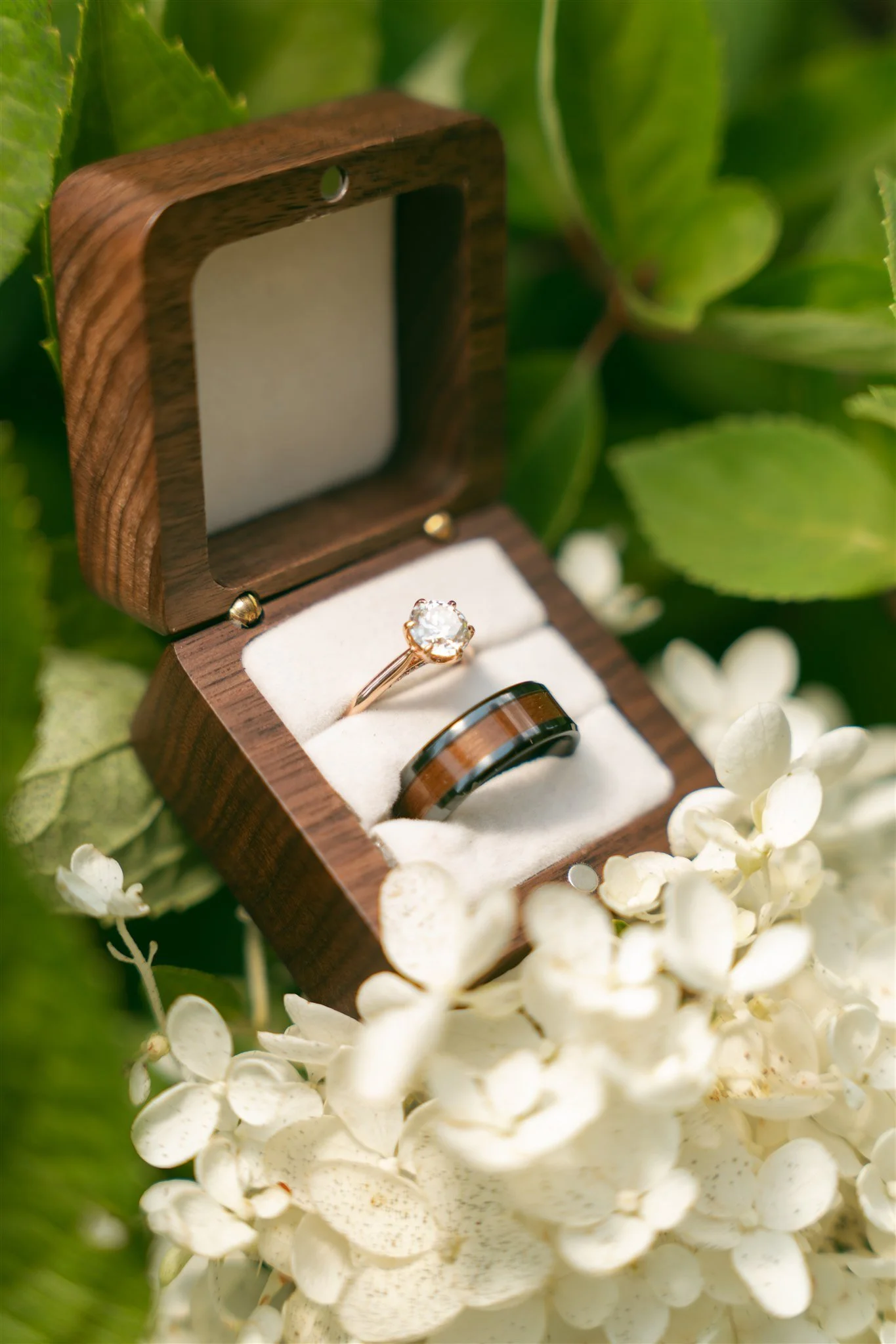 Bentley and Caleb-8.JPG