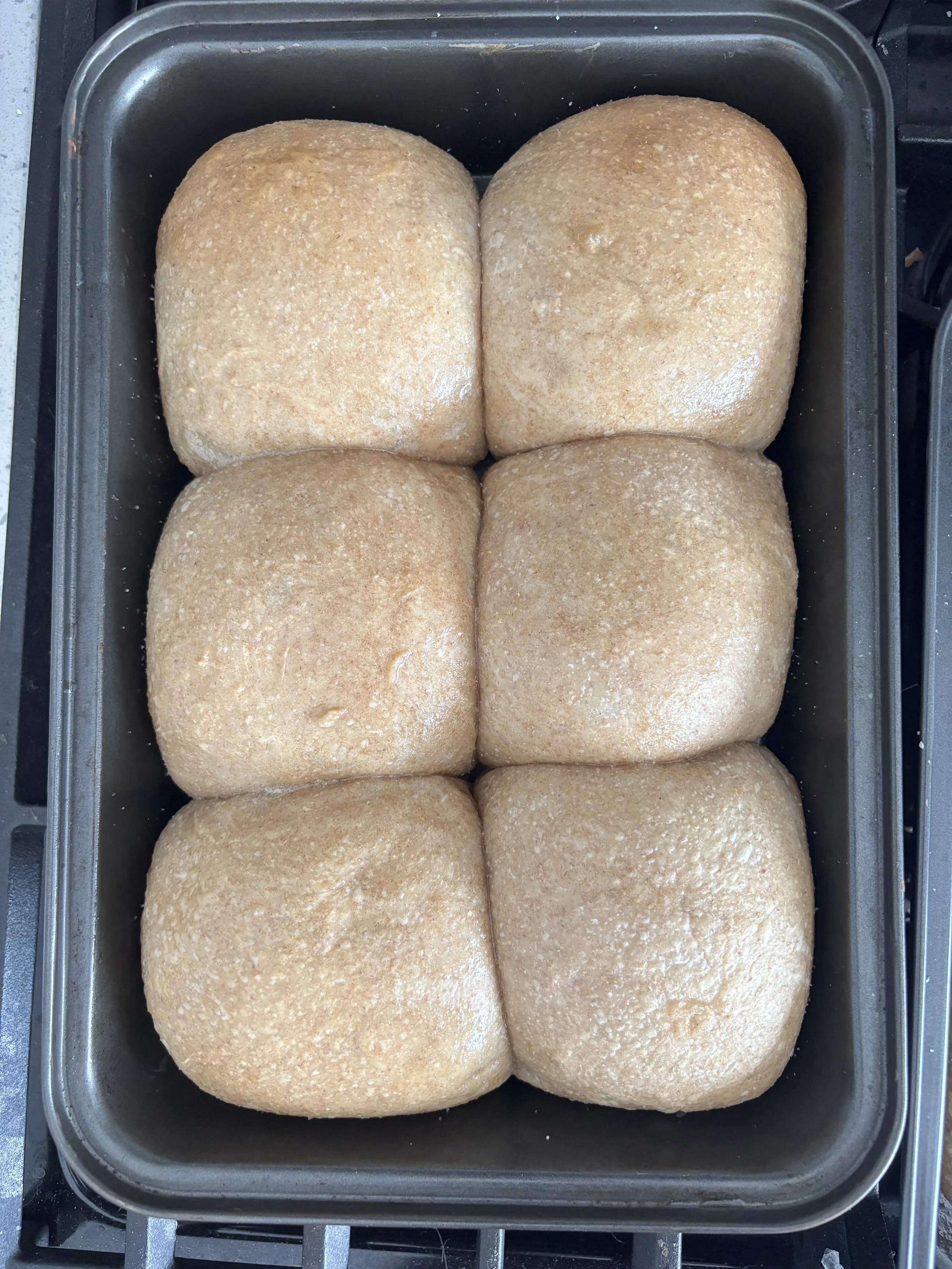 Wholewheatbuns.jpeg