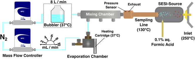 Analysis of volatile short-chain fatty acids in the gas phase using secondary electrospray ionization coupled to mass spectrometry