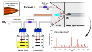 Characterizing Bacterial Volatiles using Secondary Electrospray Ionization Mass Spectrometry (SESI-MS)