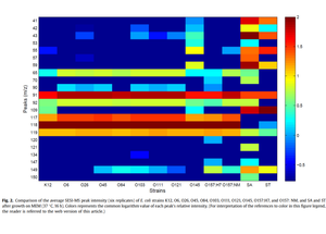 Detection of Escherichia coli via VOC Profiling using Secondary Electrospray Ionization-Mass Spectrometry (SESI-MS)