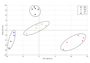 Noninvasive strategies for breast cancer early detection.png