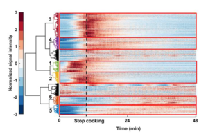 Evolution of indoor cooking emissions captured by using secondary electrospray ionization high resolution mass spectrometry