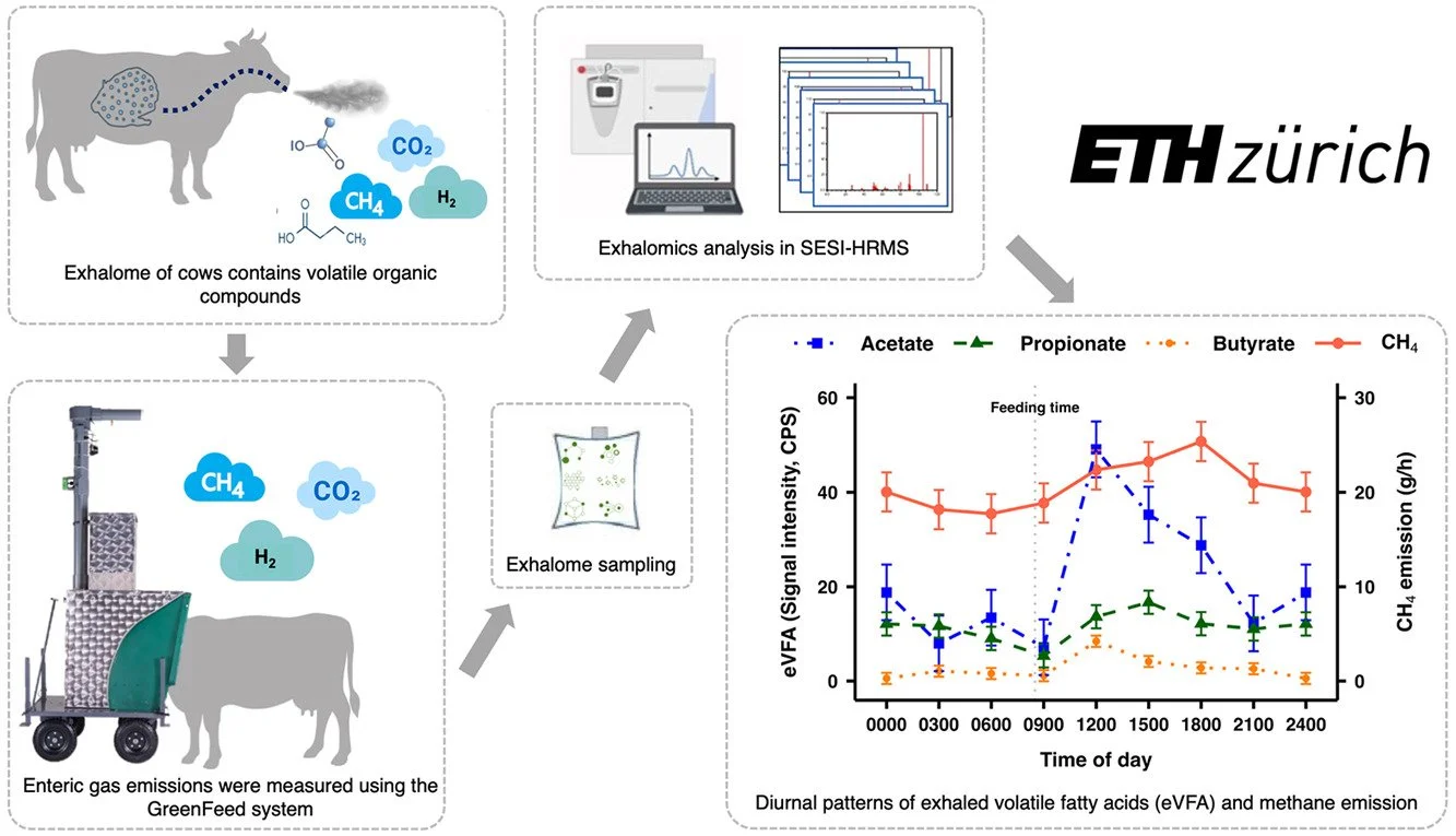 Exhaled volatile fatty acids, ruminal methane emission and their diurnal patterns in lactating dairy cows