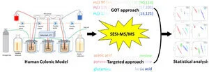 Headspace Gas Monitoring of Gut Microbiota Using Targeted and Globally Optimized Targeted Secondary Electrospray Ionization Mass Spectrometry.jpg