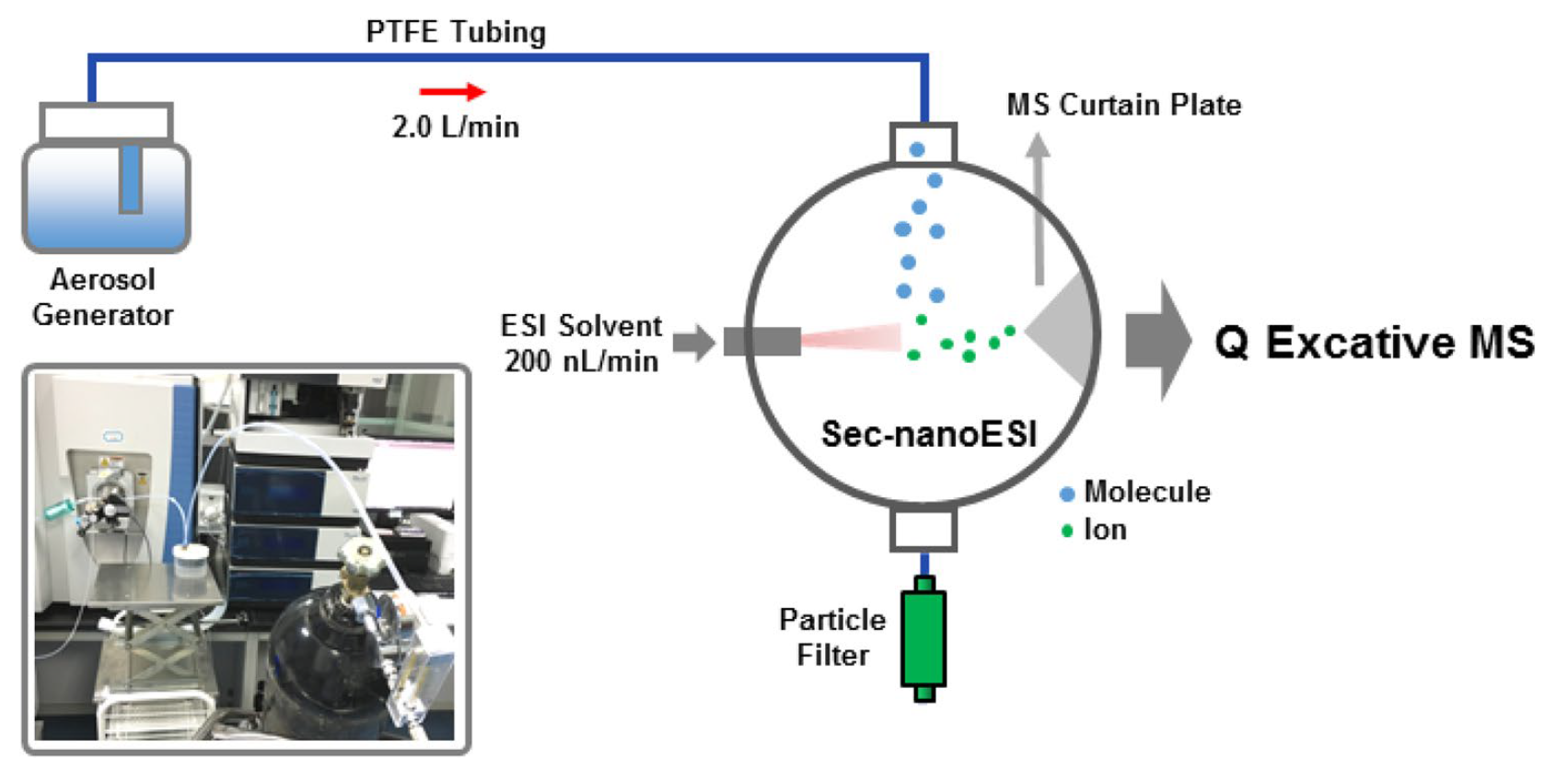 Insights on the Working Principles of Secondary ElectrosprayIonization High‑Resolution Mass Spectrometry for QuantitativeAnalysis of Aerosol Chemical Composition