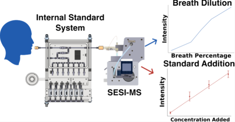 Internal Standard Addition System for Online Breath Analysis