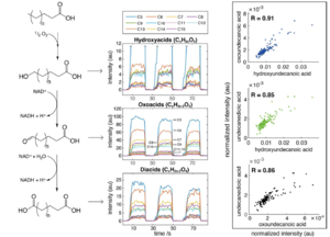 Real-time mass spectrometric identification of metabolites characteristic of chronic obstructive pulmonary disease in exhaled breath.png
