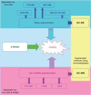 Mass spectrometric techniques for the analysis of volatile organic compounds emitted from bacteria