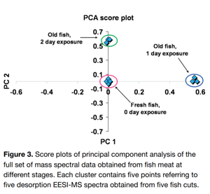 Neutral desorption sampling coupled to extractive electrospray ionization mass spectrometry for rapid differentiation of biosamples by metabolomic fingerprinting