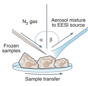 Neutral desorption sampling coupled to extractive electrospray ionization mass spectrometry for rapid differentiation of biosamples by metabolomic fingerprinting.png