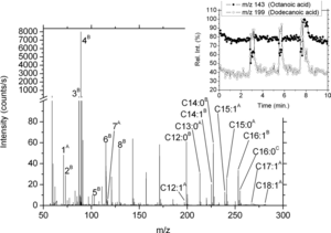 On-line Detection of Human Skin Vapors