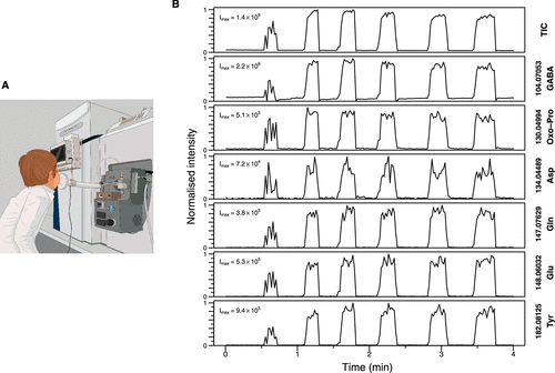 UHPLC-MS/MS-Based Identity Confirmation of Amino Acids Involved in Response to and Side Effects from Antiseizure Medications
