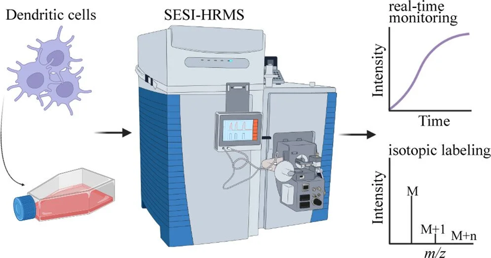Real-Time Volatile Metabolomics Analysis of Dendritic Cells