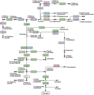 SESI-HRMS reveals tryptophan pathway metabolites in exhaled human breath