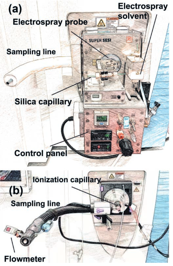 Comparison of Plasma Ionization- and Secondary Electrospray Ionization- High-resolution Mass Spectrometry for Real-time Breath Analysis