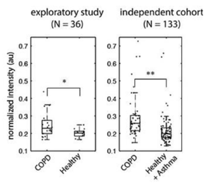 Targeted on-line breath analysis discriminates COPD patients vs. healthy controls and subjects suffering from asthma