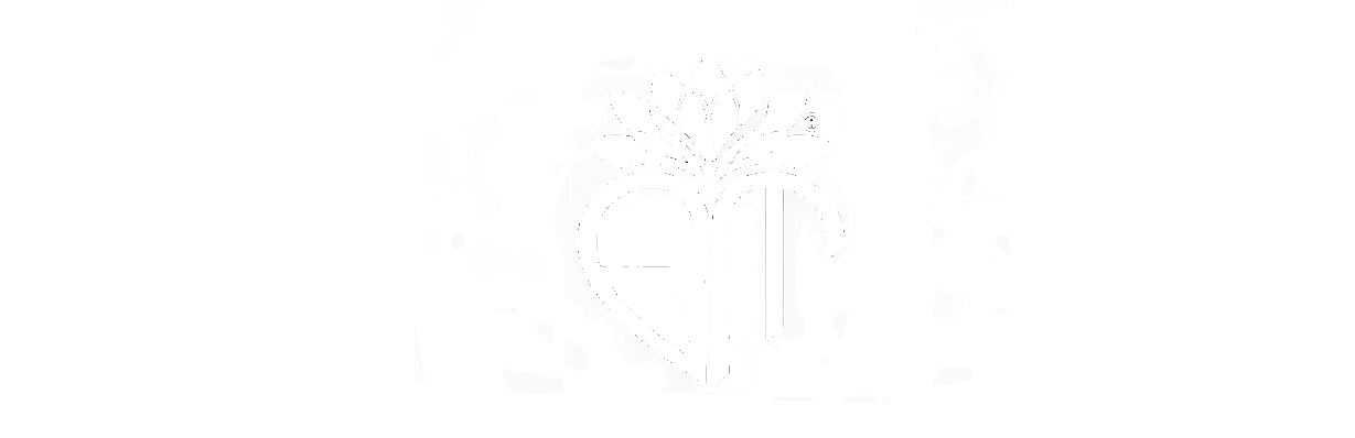 Extra Mile Live Service GmbH