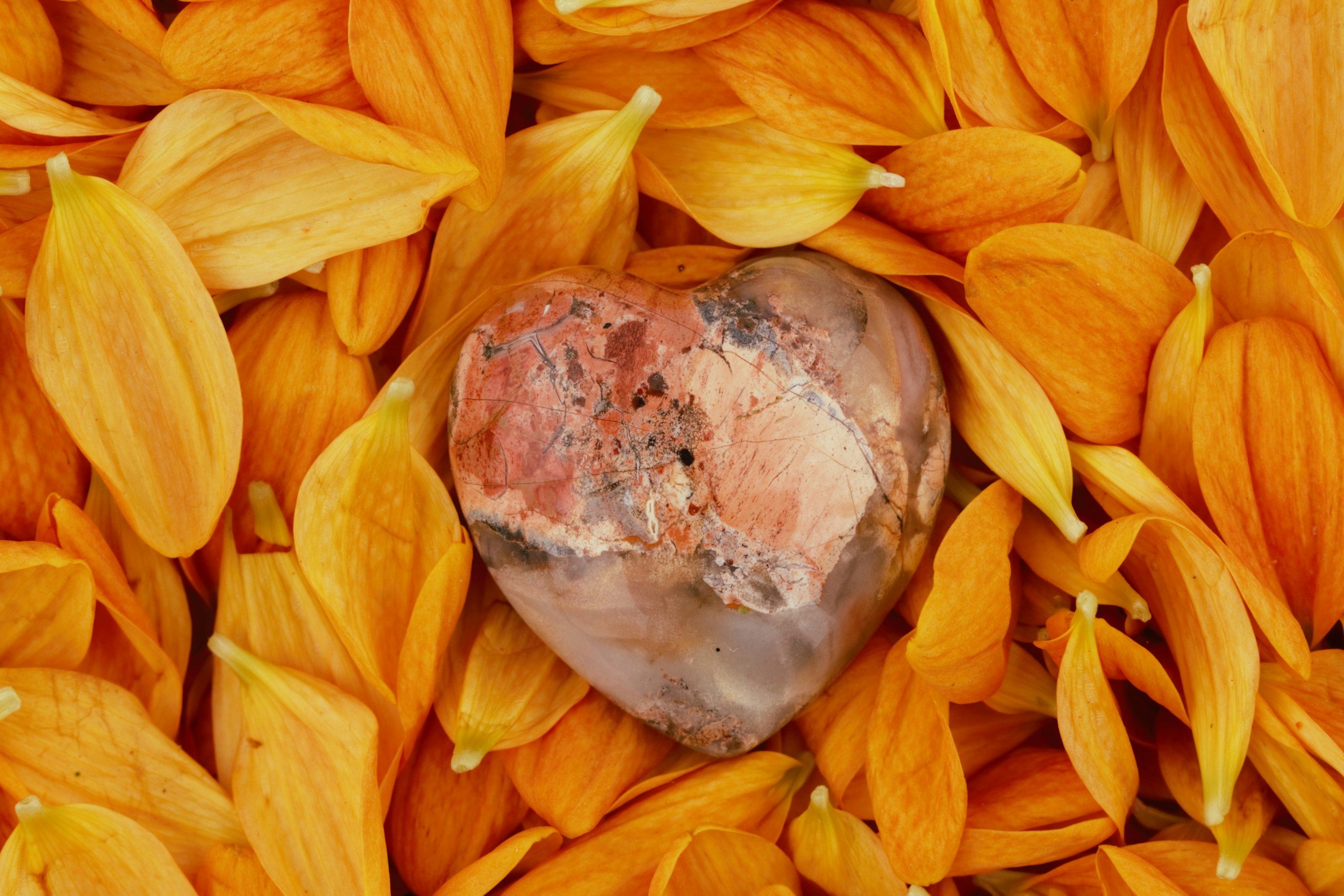 Cœur en pierre au centre entouré de pétales orange