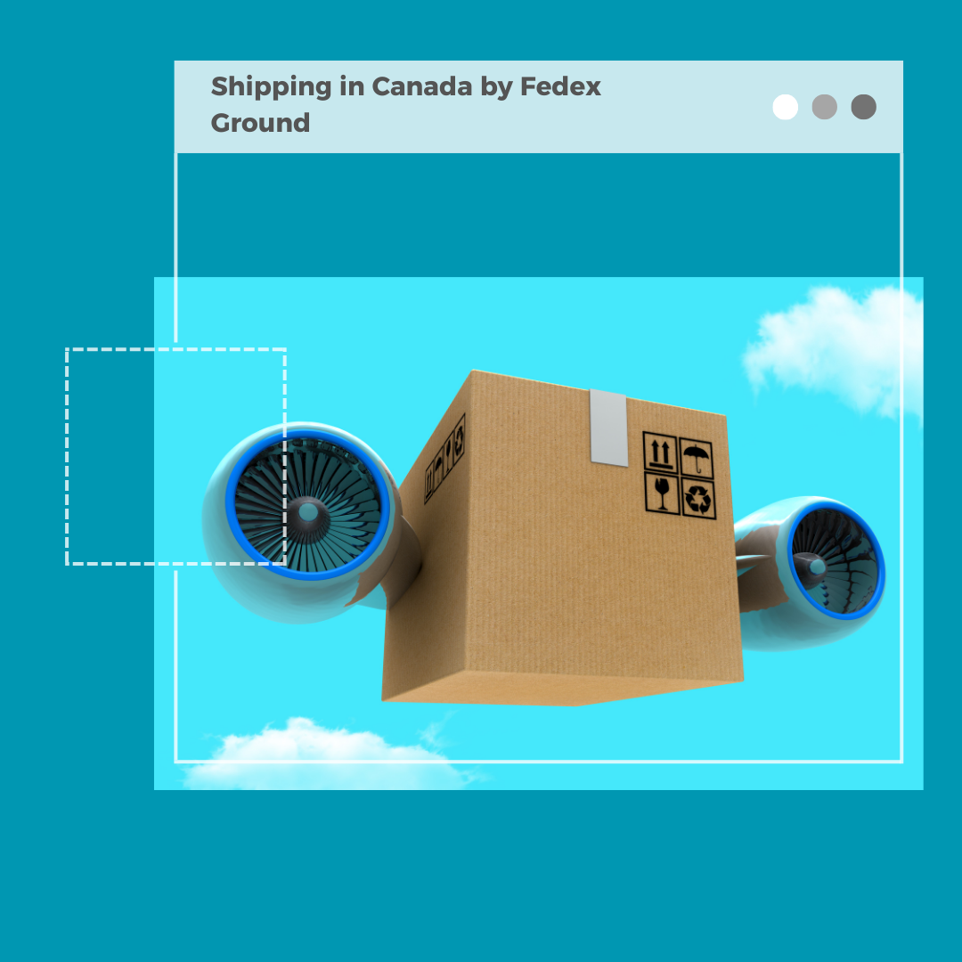 White Gray Minimalist Photo Collage Instagram Post.png