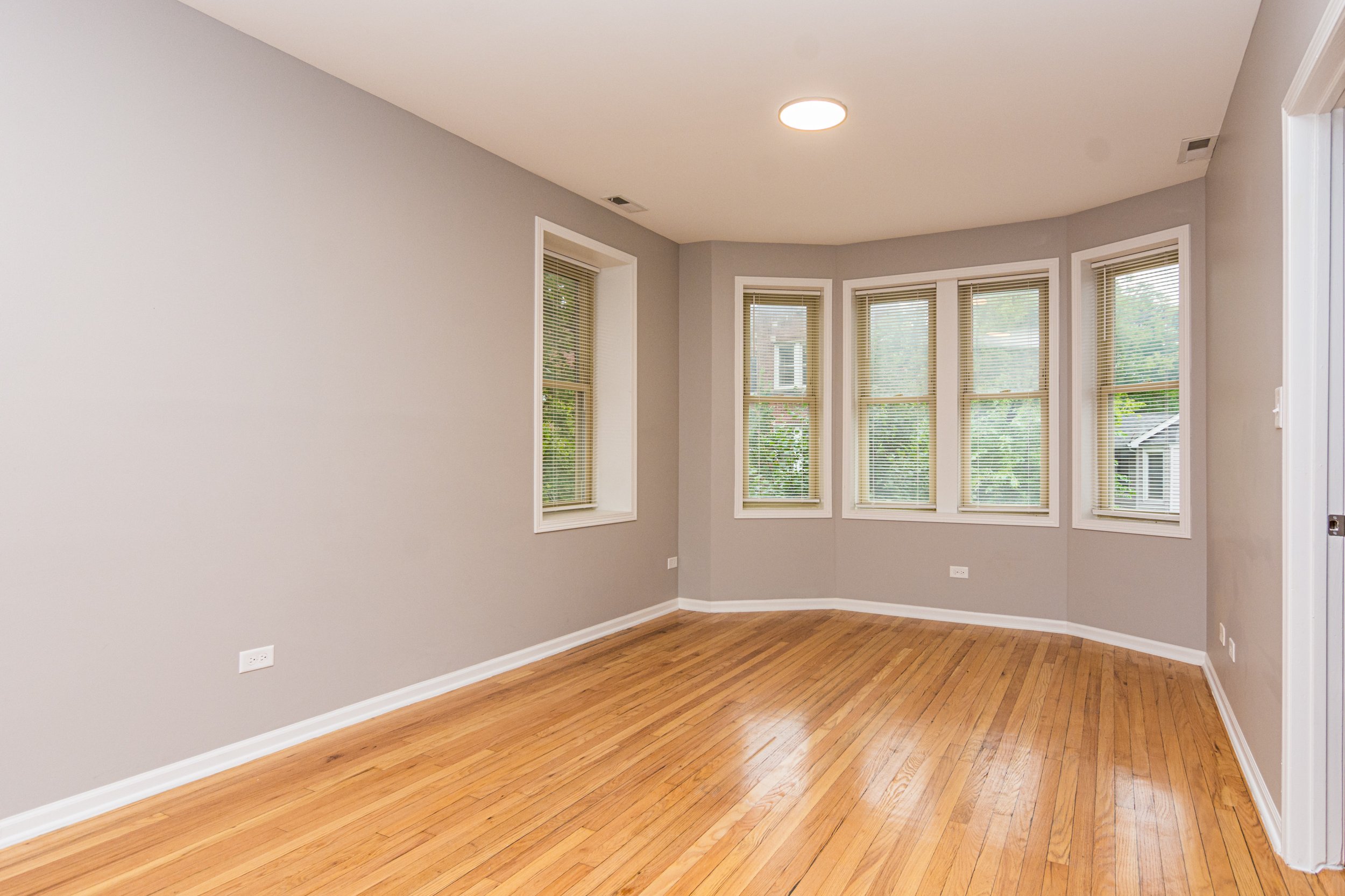 Spacious living room natural light apartments south side chicago