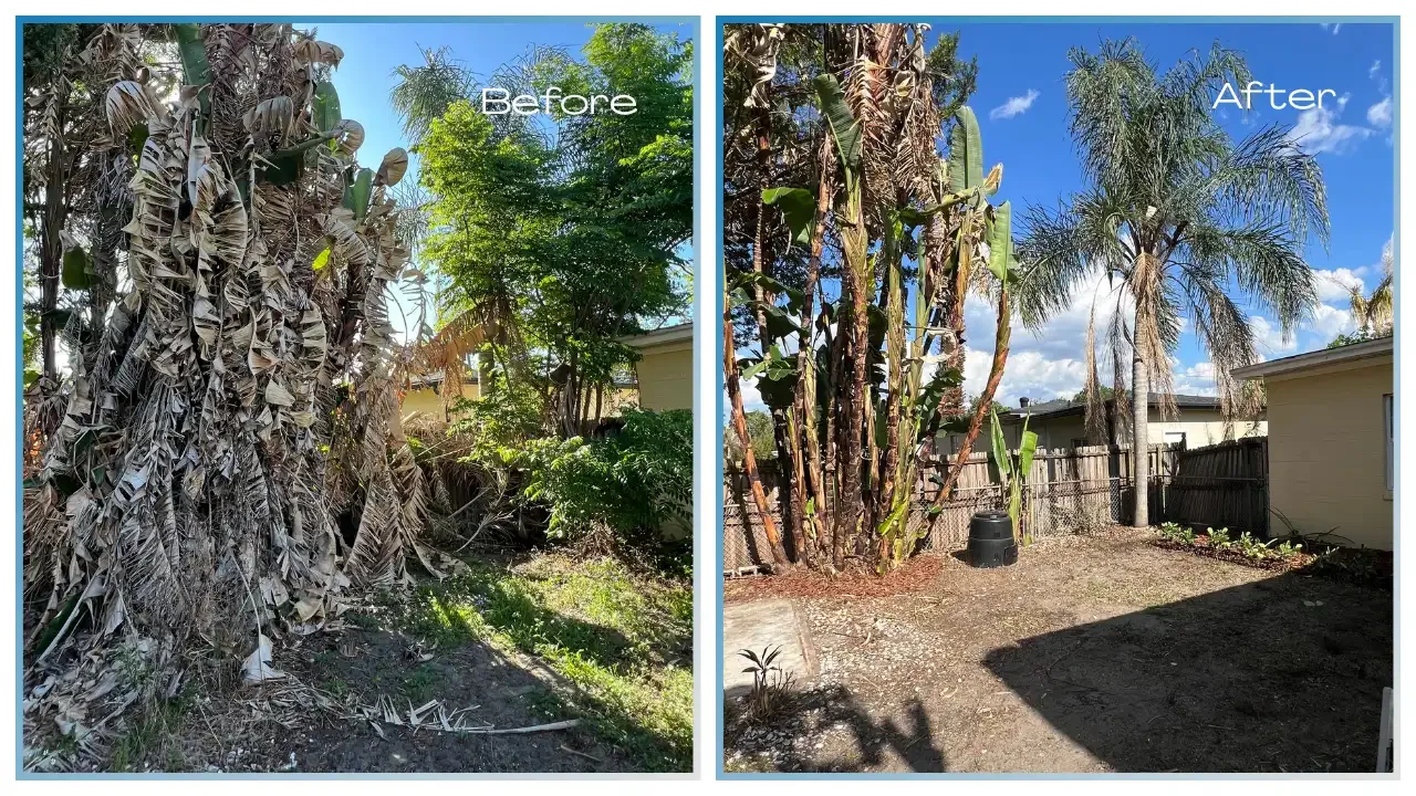 2026-04-30 (4).webp