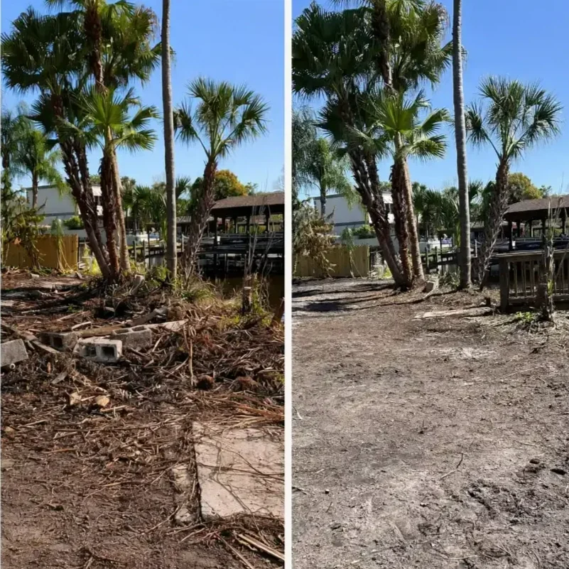 Grounds Cleanup