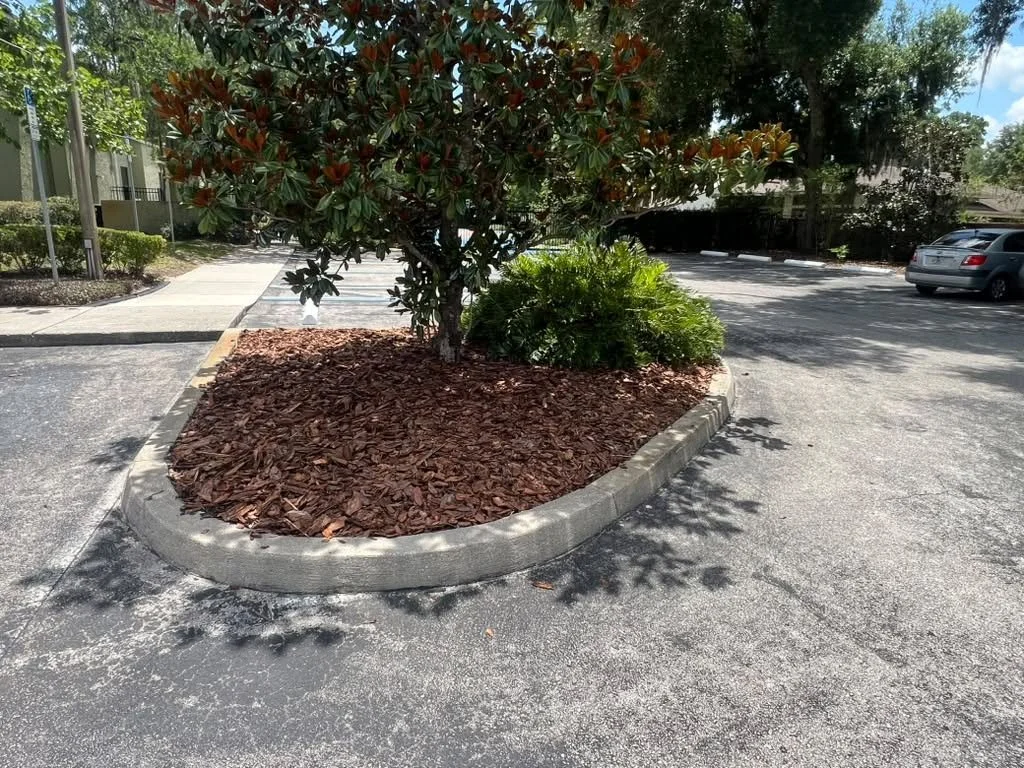 Mulch Install