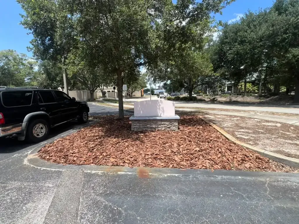 2026-06-16 (4).webp