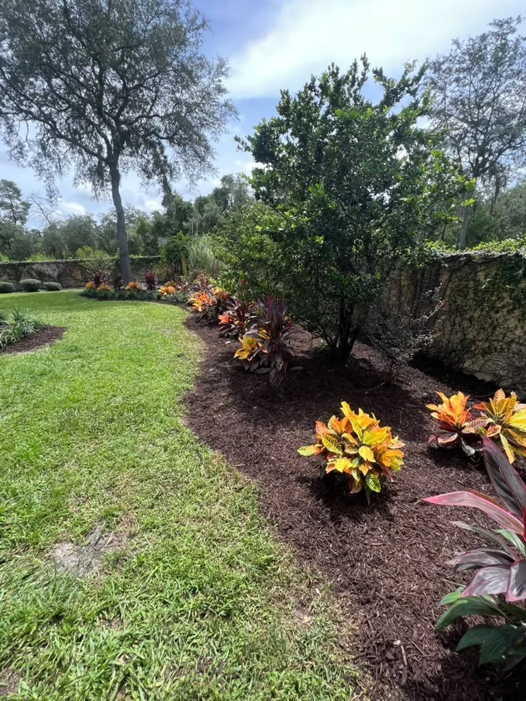 Create a beautiful landscape without the constant upkeep. We specialize in installing low-maintenance plants that provide year-round color, texture, and curb appeal.