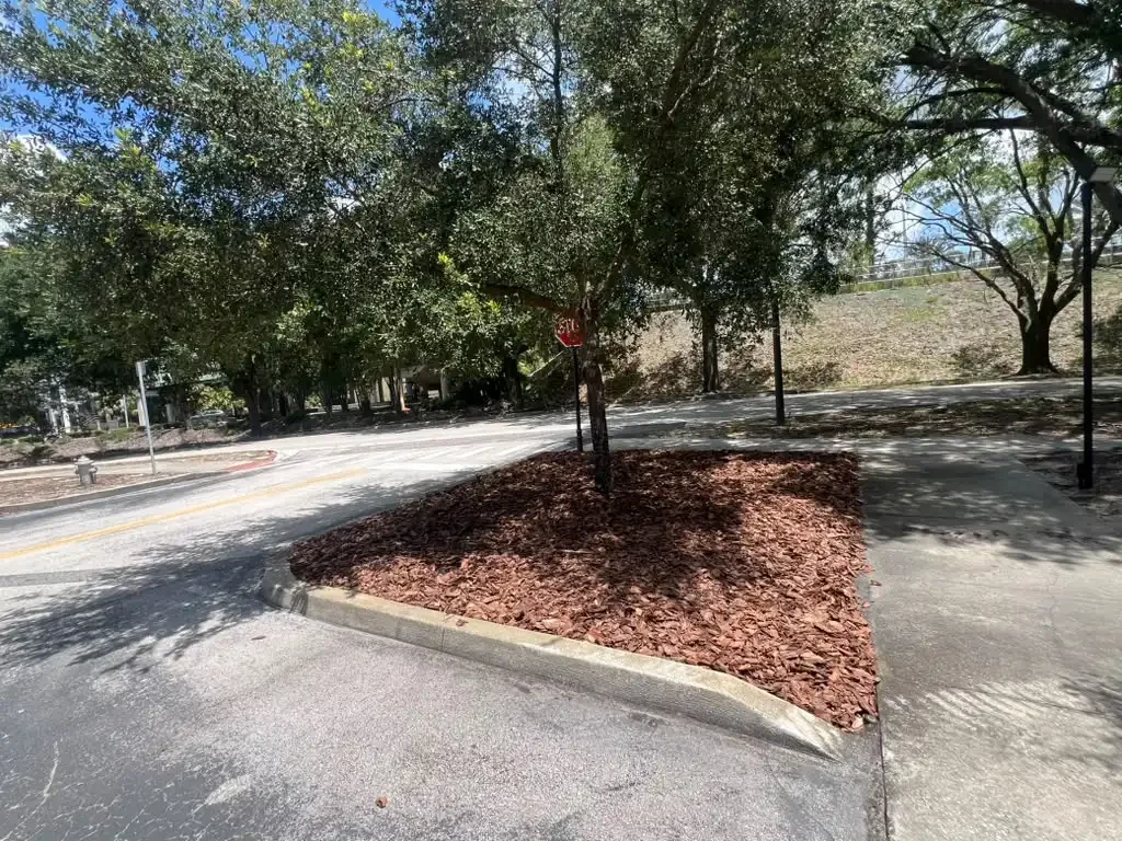 2026-06-16 (2).webp