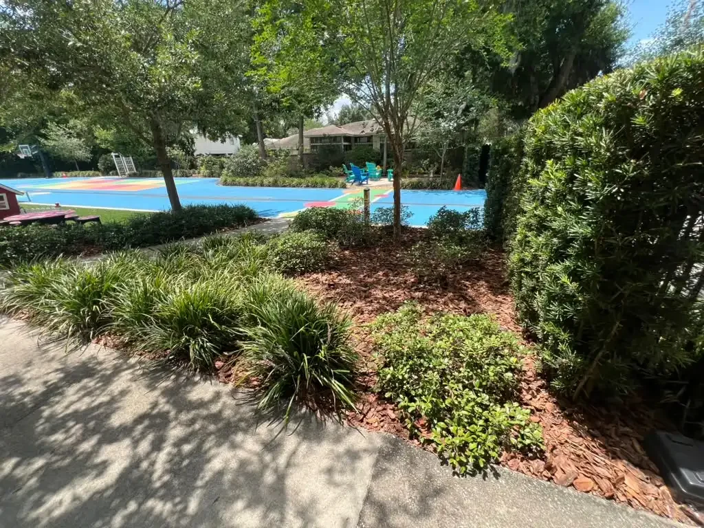 2026-06-16 (1).webp