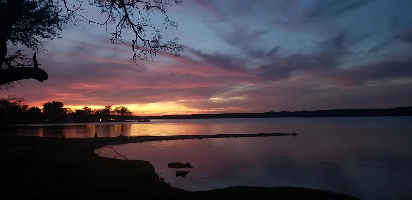 Sunset over a calm lake with a colorful sky in shades of pink, purple, and orange, silhouetted trees along the shore, and a bird perched on a tree branch.