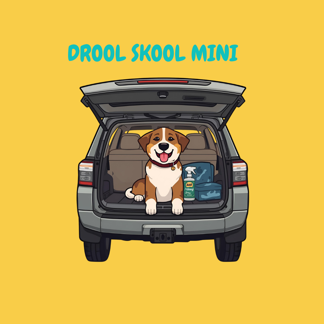 Drool Skool Mini