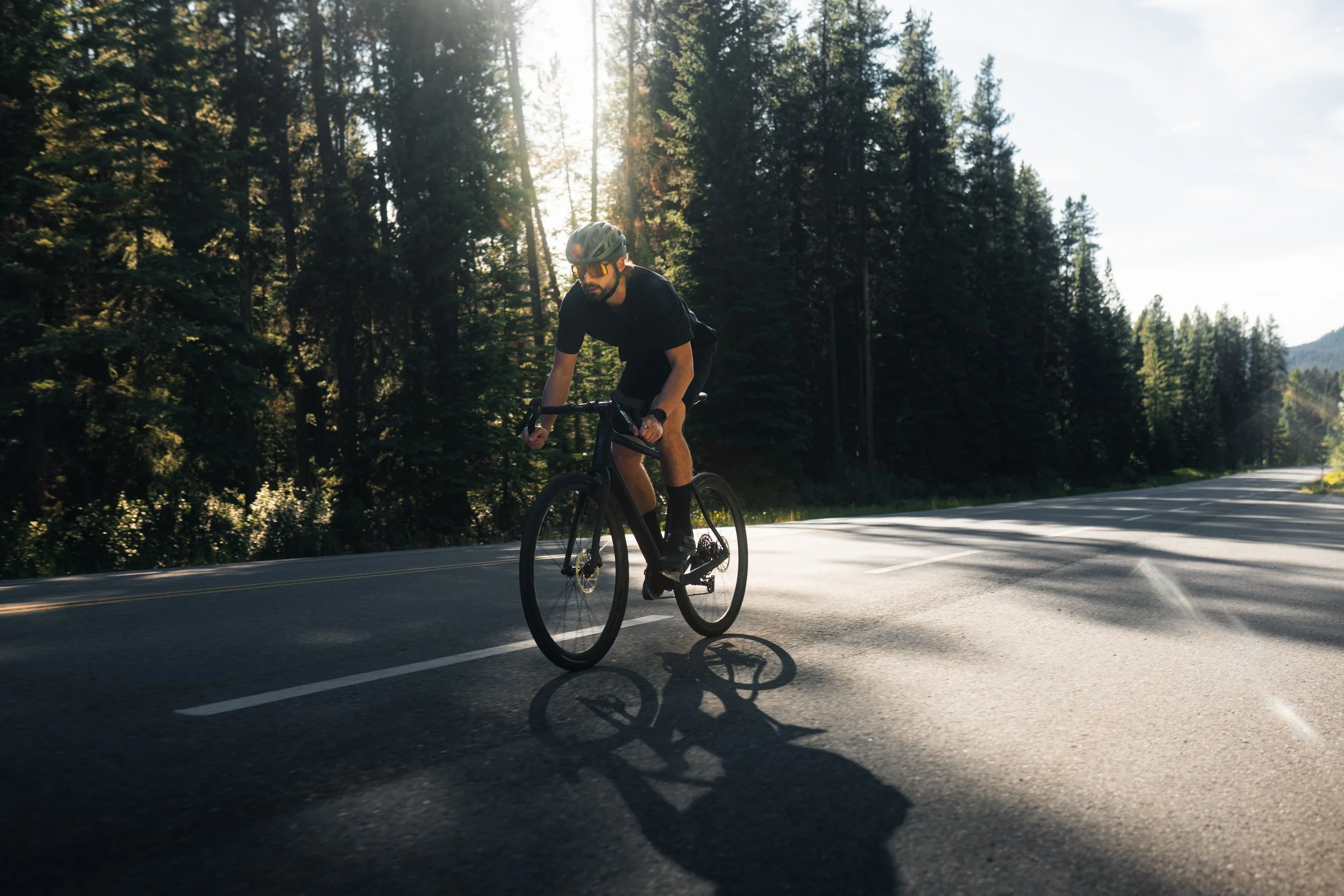 Man riding a gravel bike in the rocky mountains on the road sun peaking through tall trees