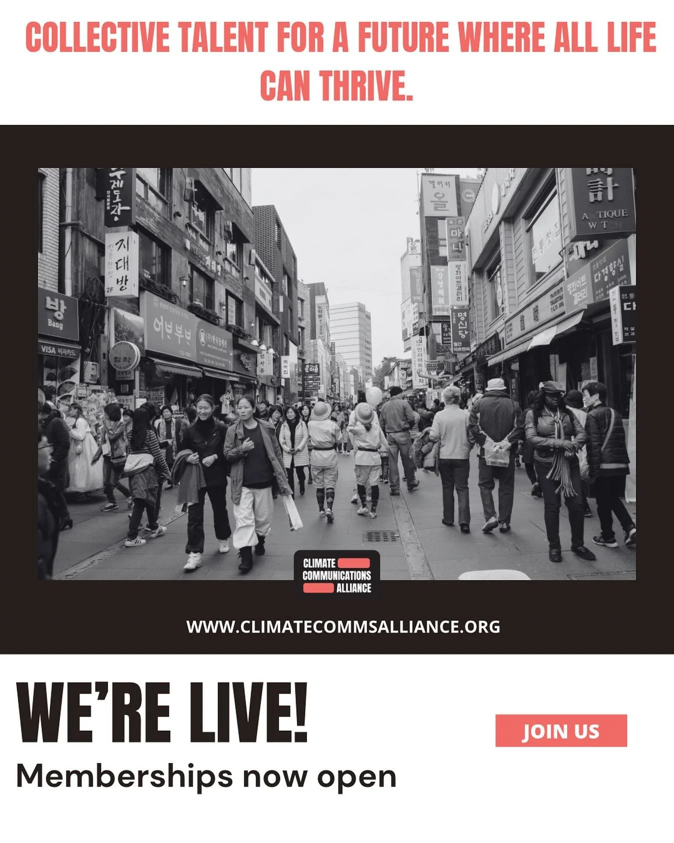 Our doors are open.
The Climate Communications Alliance is a global community of practice for anyone who talks about climate, conservation and sustainability. We:
🤝 Harness talent and reduce silos, pooling our collective skills and experience to amp