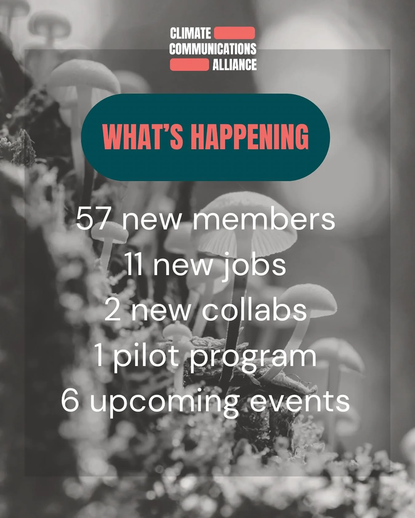 What&rsquo;s been happening in the Climate Communications Alliance This Week

The Climate Communications Alliance is officially 2 weeks old, but with so much happening, it feels like much more than that! Here&rsquo;s some of what we&rsquo;ve been up 