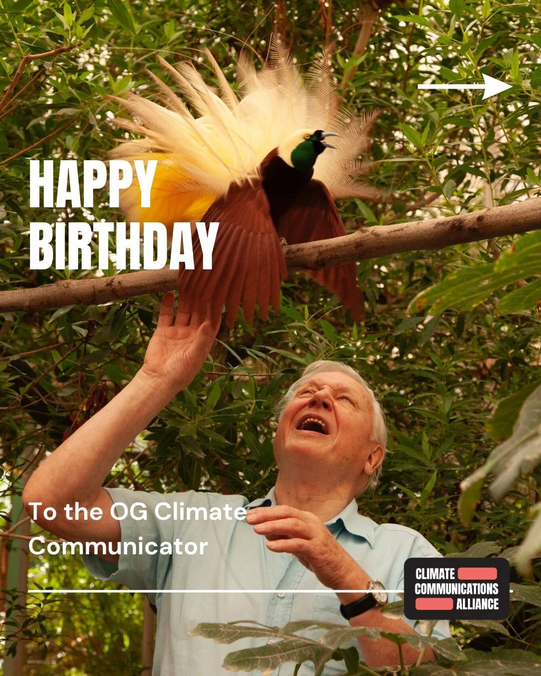 Today is Sir David Attenborough's 100th birthday.
The OG climate communicator, Sir David has shared the wonders of nature with millions, inviting all of us to turn our sense of wonder into care.
Thank you Sir David - and happy birthday!