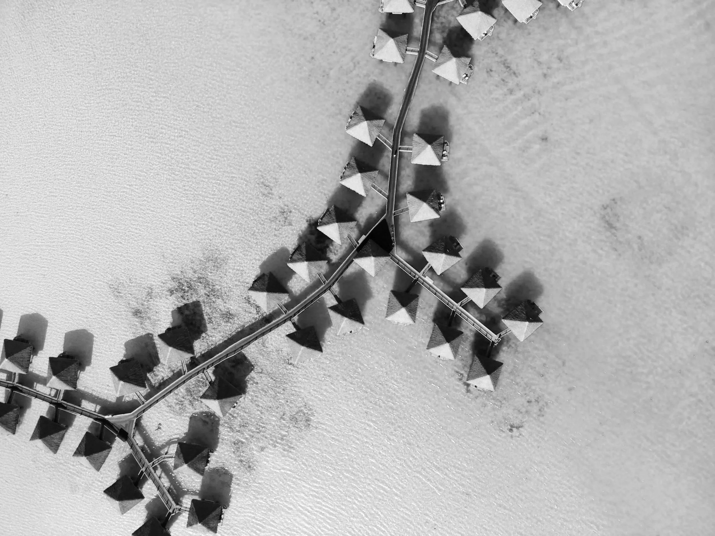 Aerial view of a beach with a pier and multiple cabanas or umbrellas casting shadows on the sand, in black and white.