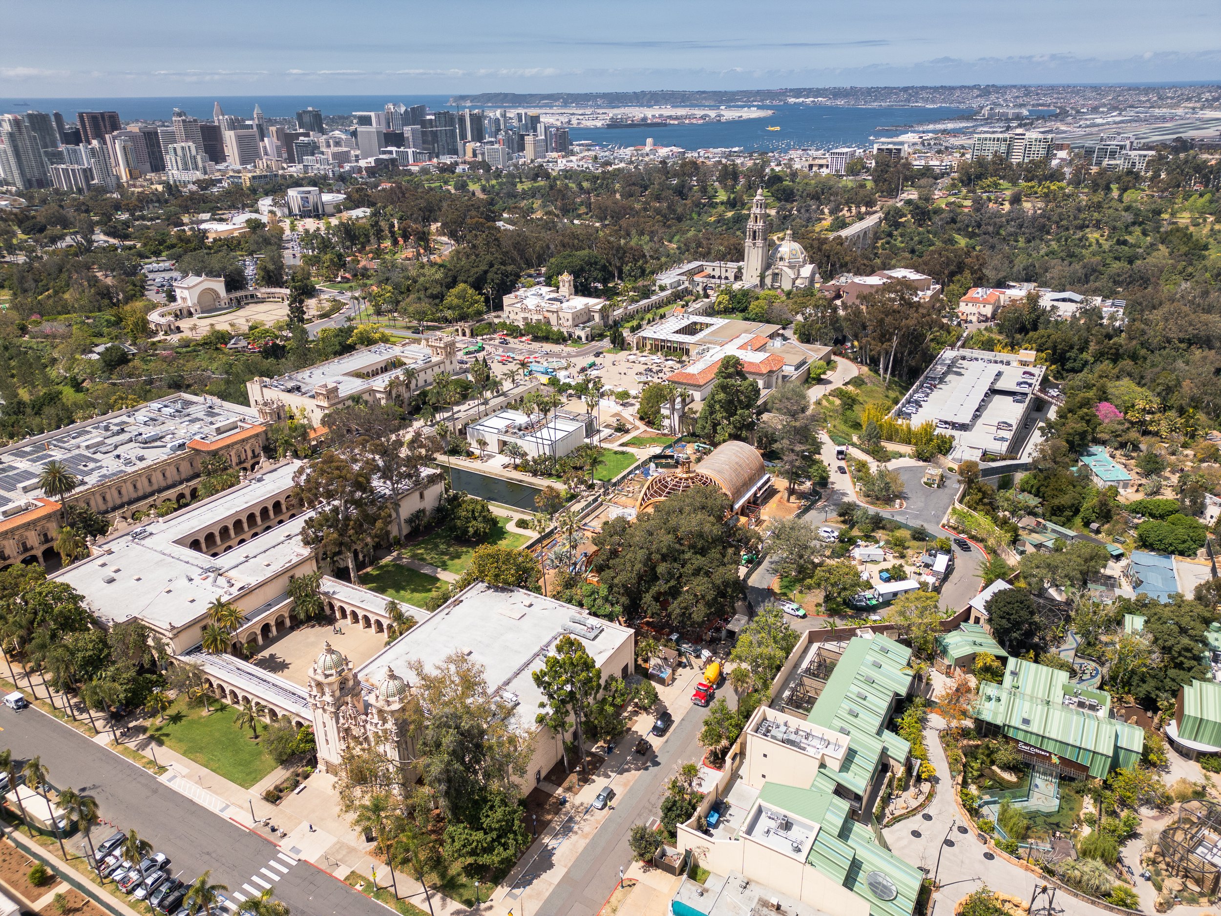 Aerial view of Balboa Park with historic buildings, gardens, and construction activity, with downtown San Diego and San Diego Bay in the background.