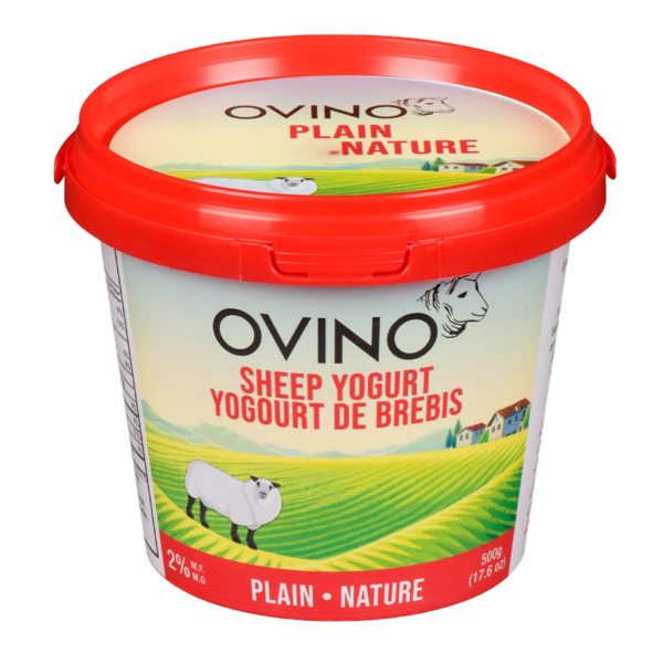 large_6c38f211-b378-4aa1-adc8-4f1fa57fe087.png