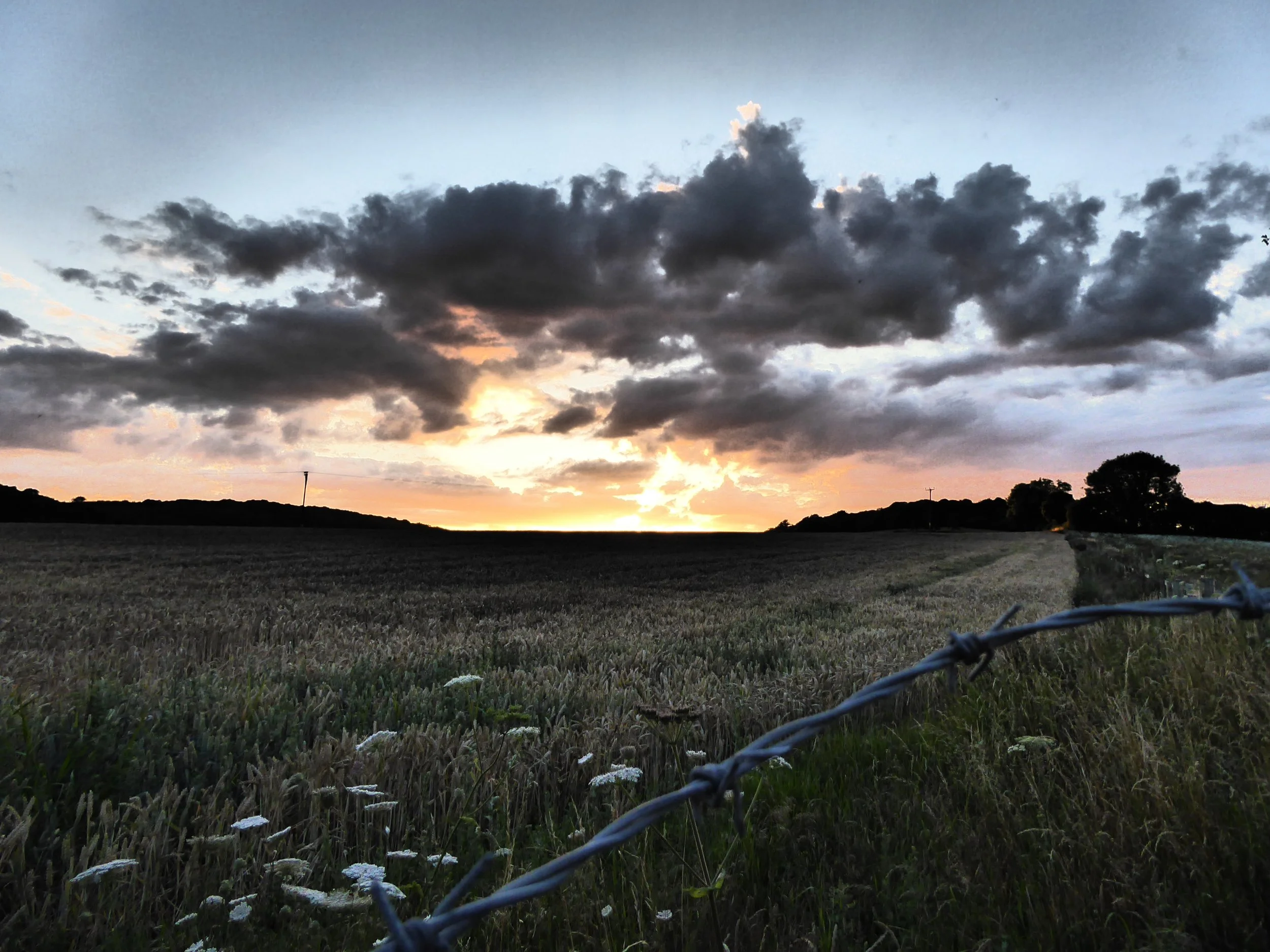 A landscape photo of a field with a fence in the foreground, trees in the distance, and a sky with dark clouds and the setting or rising sun.